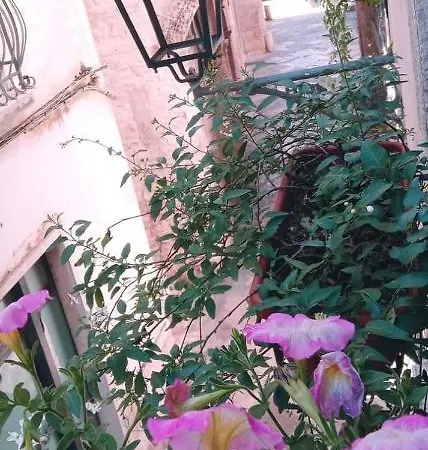 Zia Lucia شقة بيتونتو