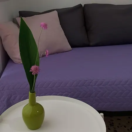 Tappa A Apartment