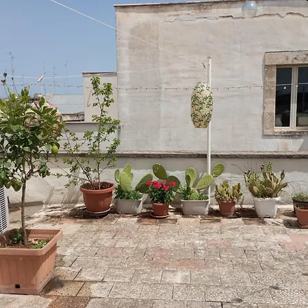 Tappa A Bitonto